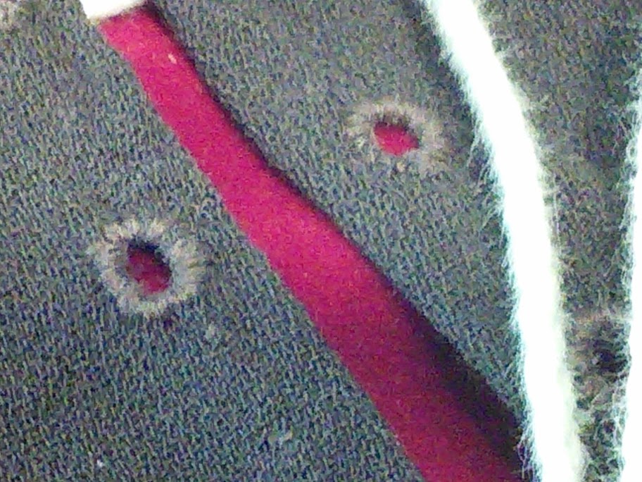 kirtle-eyelets.jpg