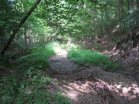 Dry creek bed resized.jpg